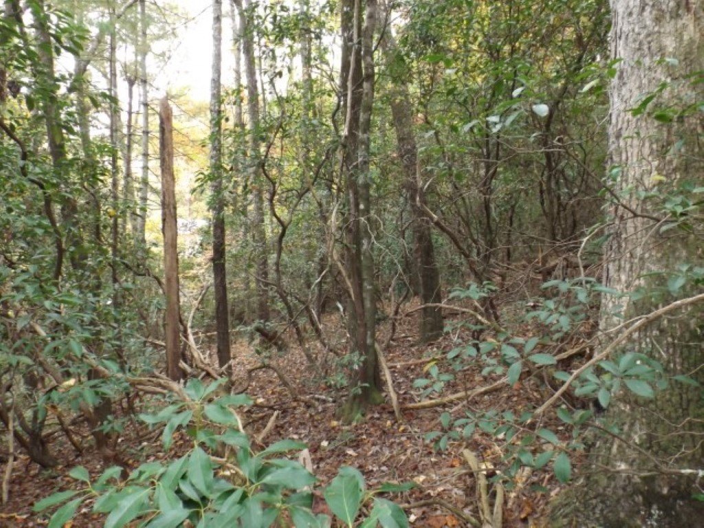 Picture 6