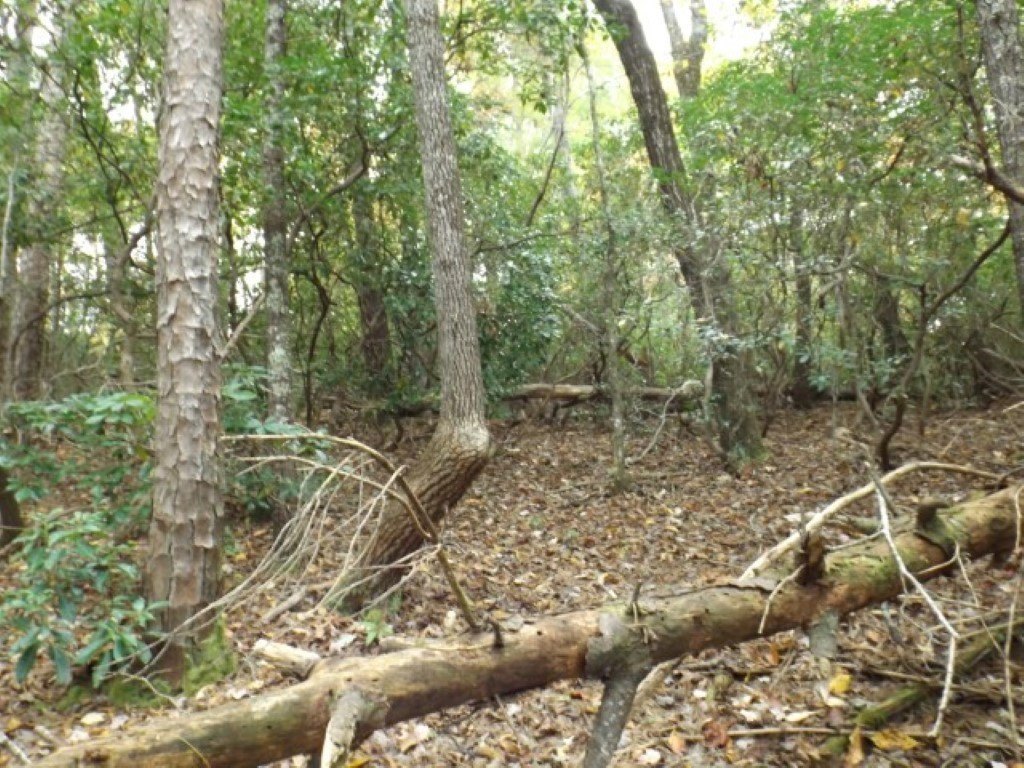 Picture 13