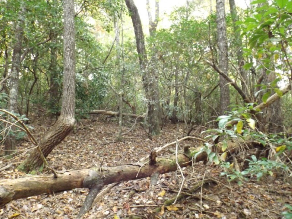 Picture 12