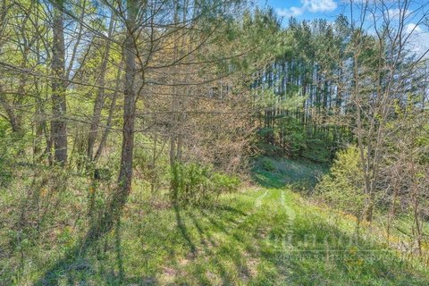 LAND - Creston, NC