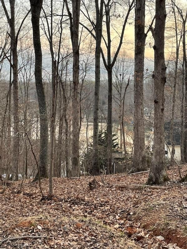 Water Access Lot in Moneta