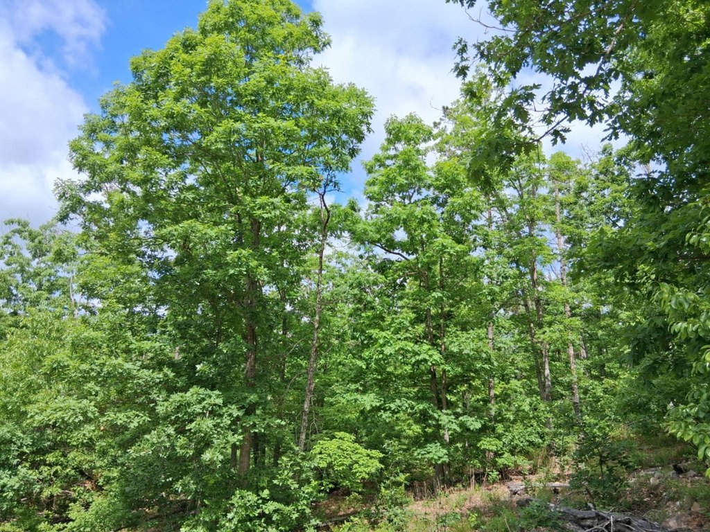 Picture 19
