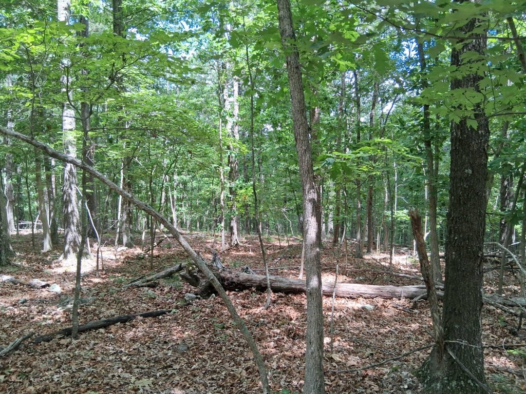 Picture 21