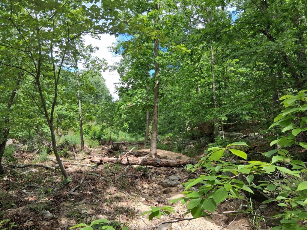 Picture 8
