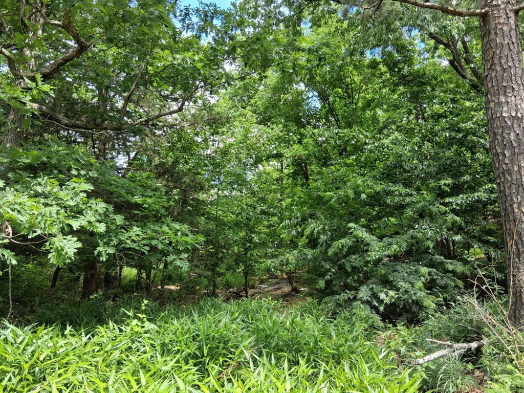 Picture 15