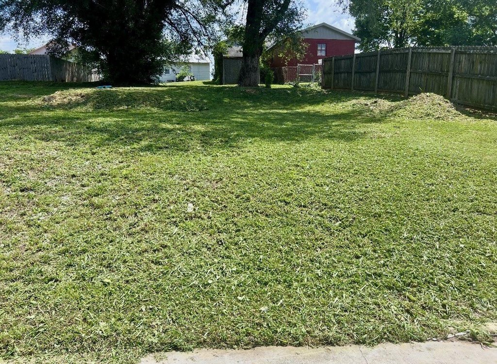 Picture 3
