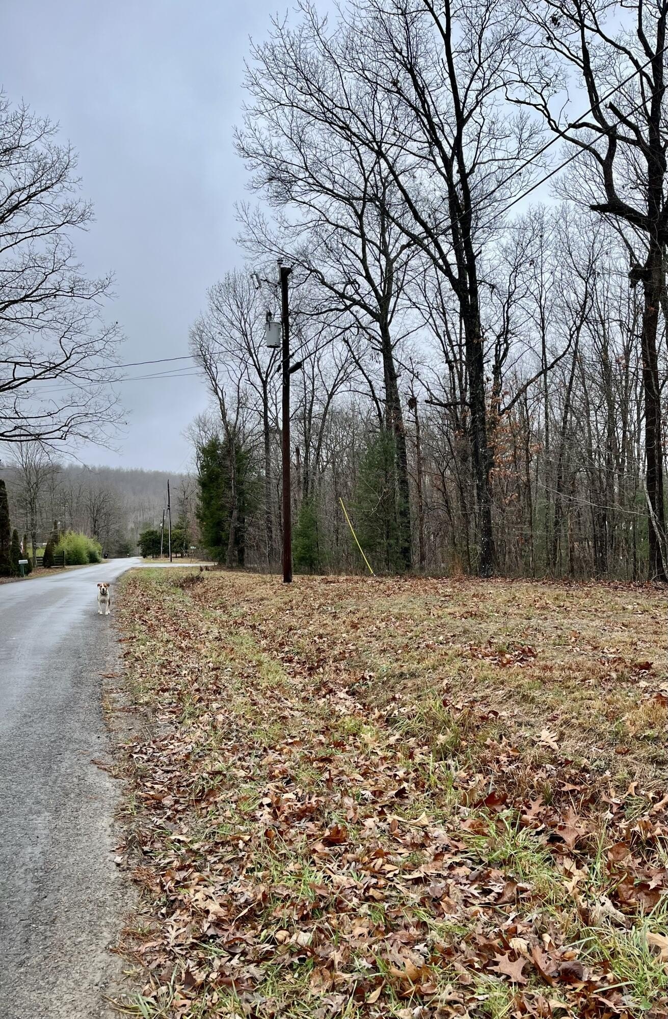 Dunlap, TN Wooded Lot