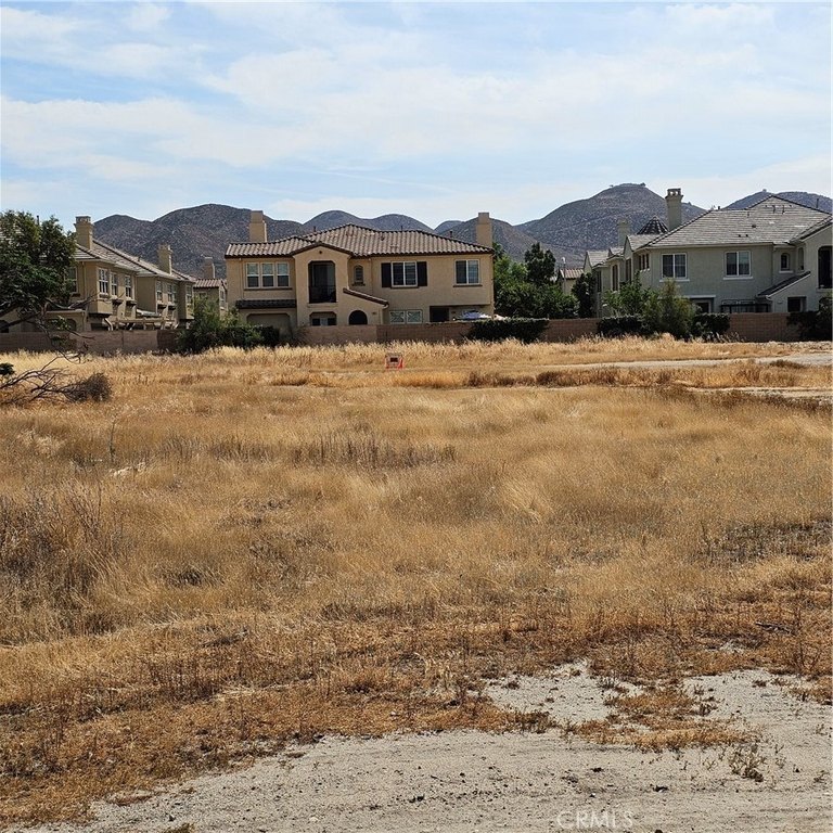Picture 3