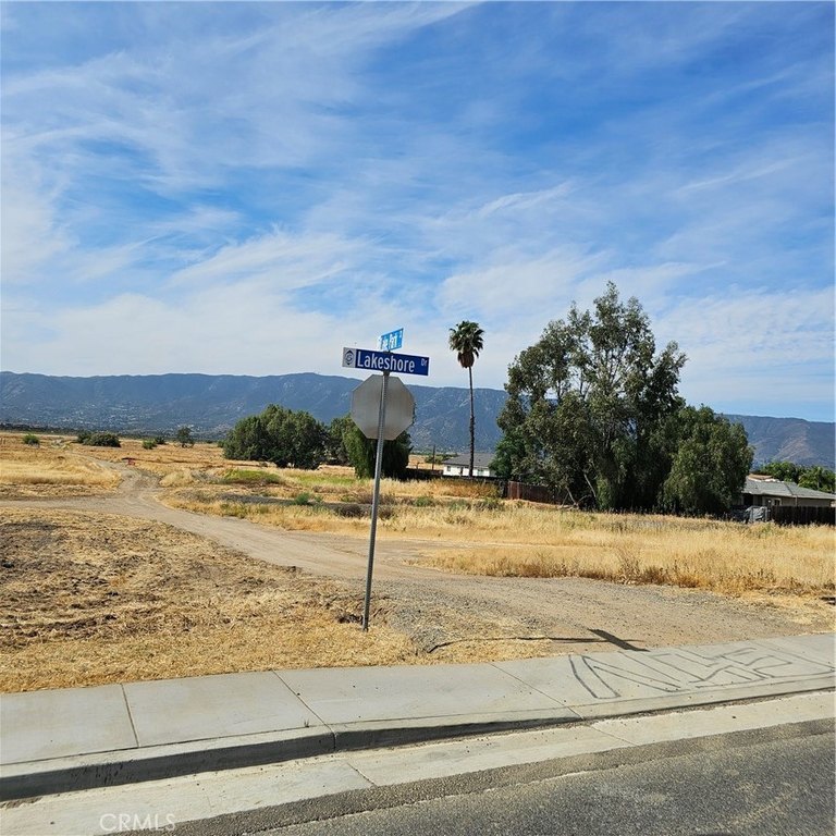 Picture 4