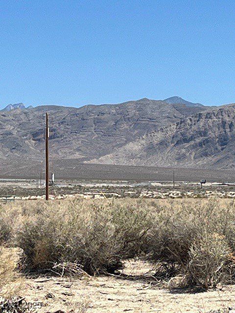 Picture 7