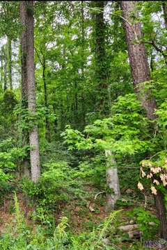 Residential Land in Denham Springs