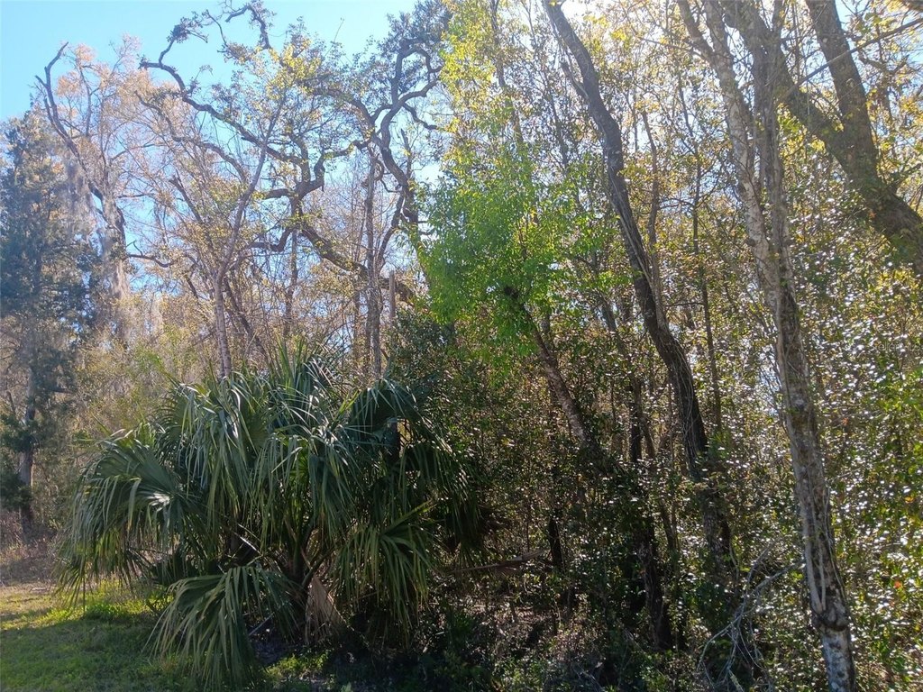 Picture 4