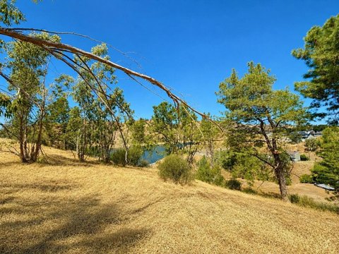 LAND - Friant, CA