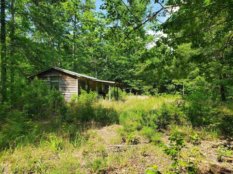 64 Acres Wooded Land, Mena