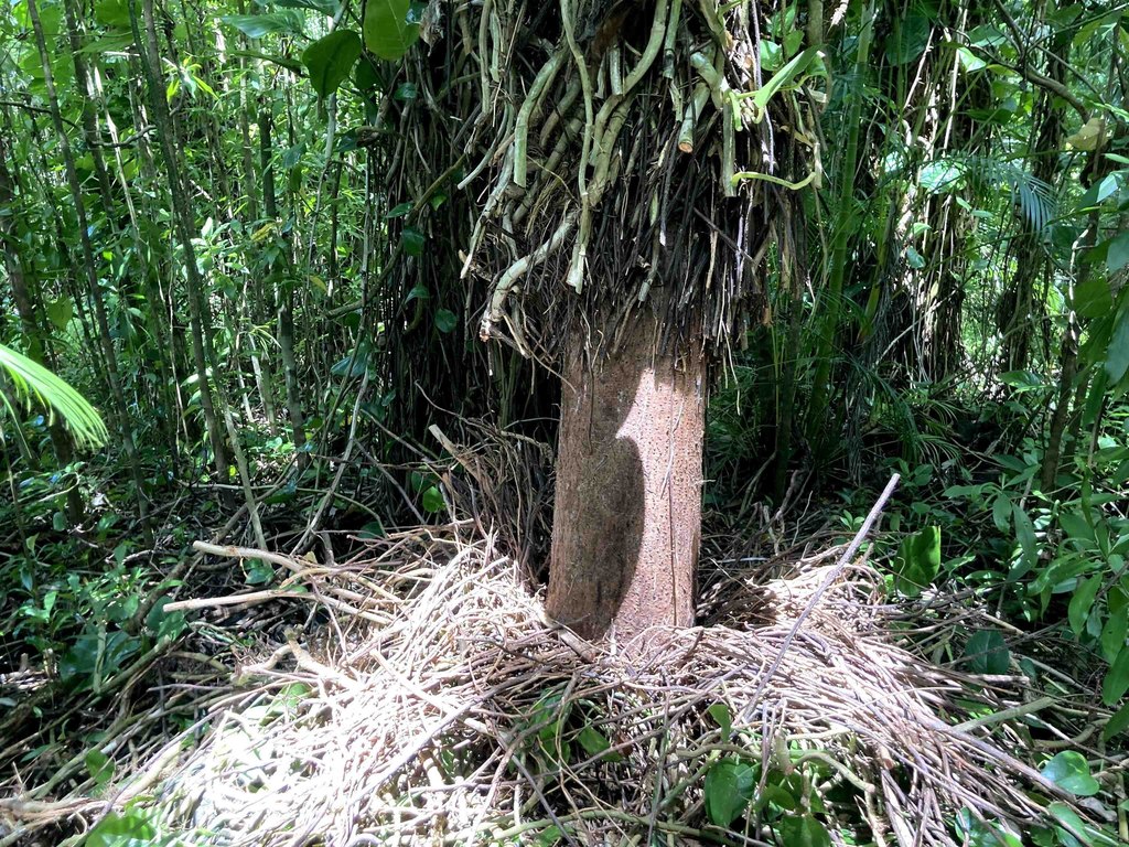 Picture 29