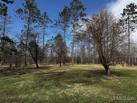 40 Acres Ready For Home