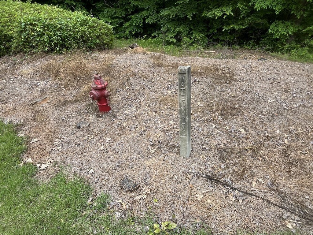 Picture 42