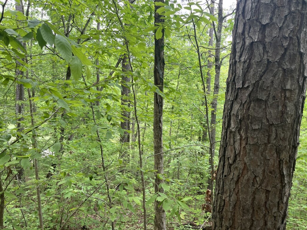 Picture 34