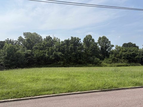 Land, Ripley, TN