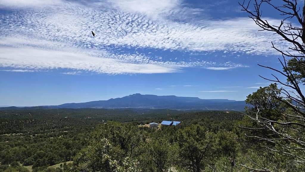 Land with Mountain Views