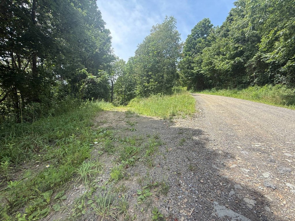 Picture 30