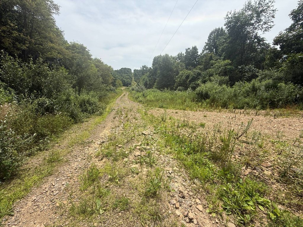 Picture 27