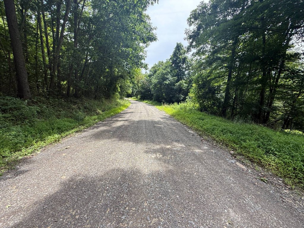 Picture 47