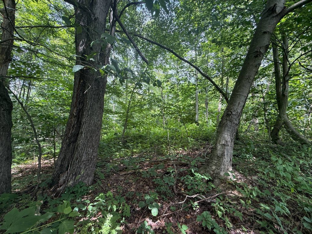 Picture 37
