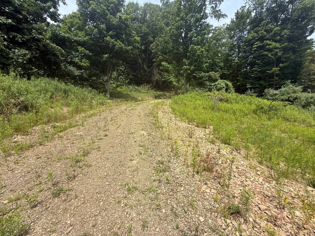 Picture 24