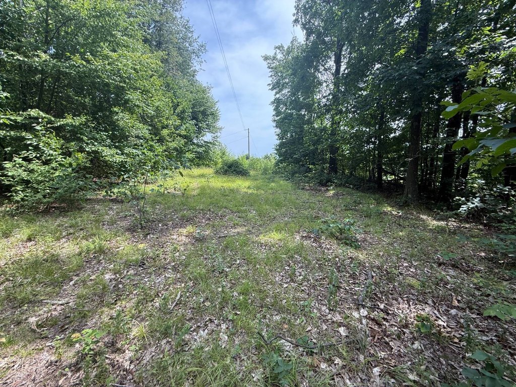 Picture 43