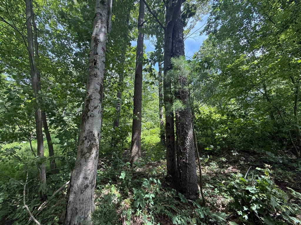 Picture 41