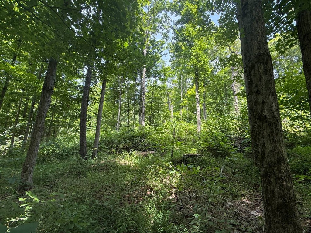 Picture 40
