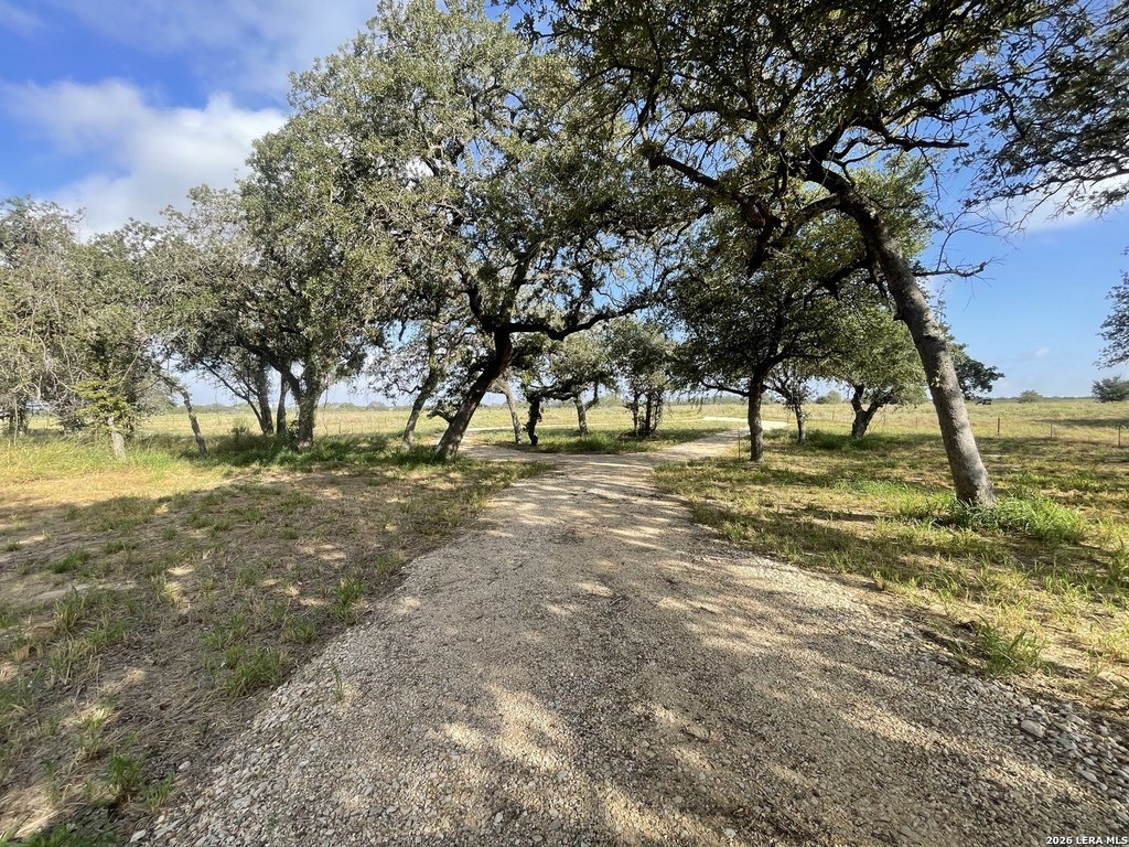 Picture 20