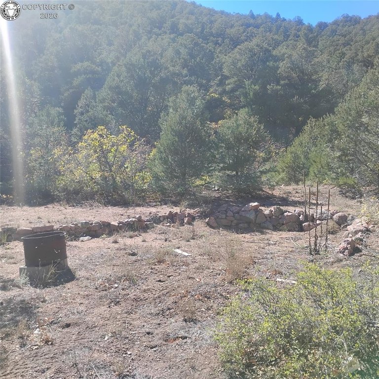 Picture 12