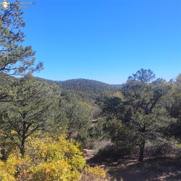 Land, Canon City, CO