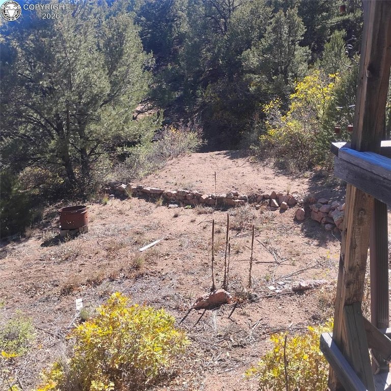 Picture 10