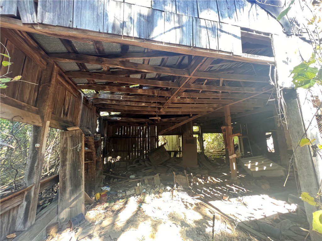 Picture 6