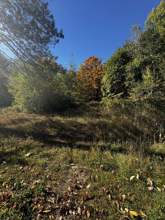 Picture 7