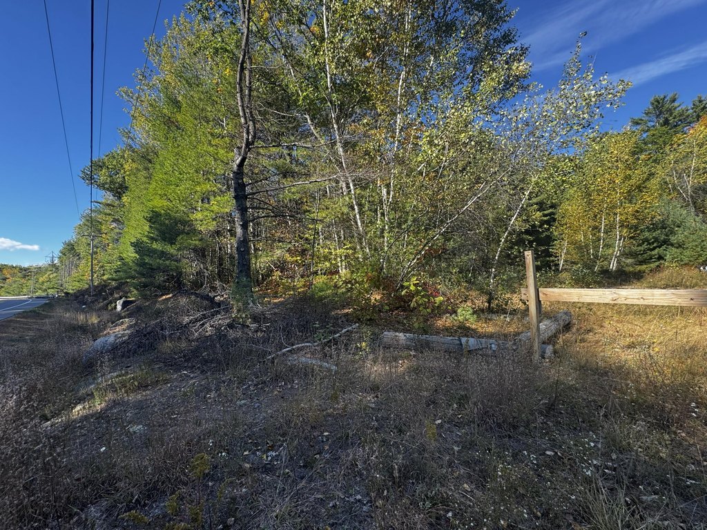 Picture 3