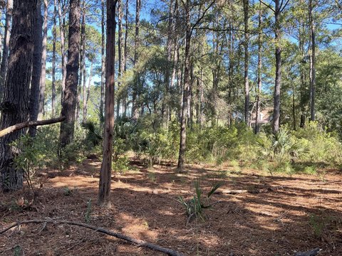 Land, Edisto Island, SC