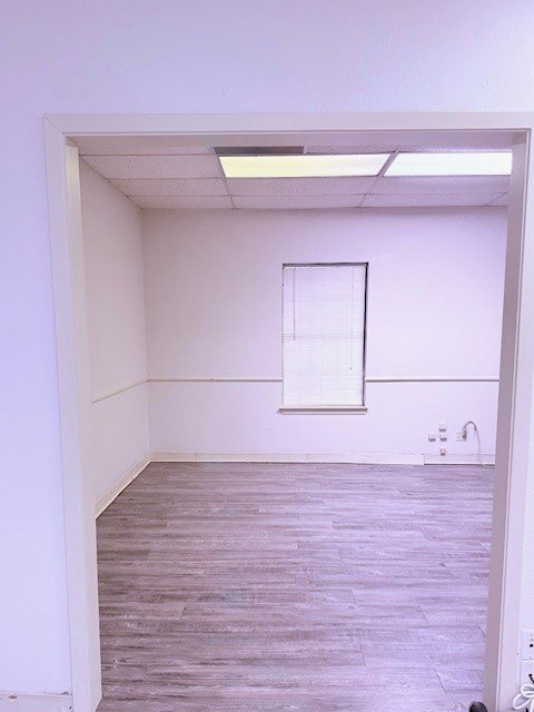 Picture 6