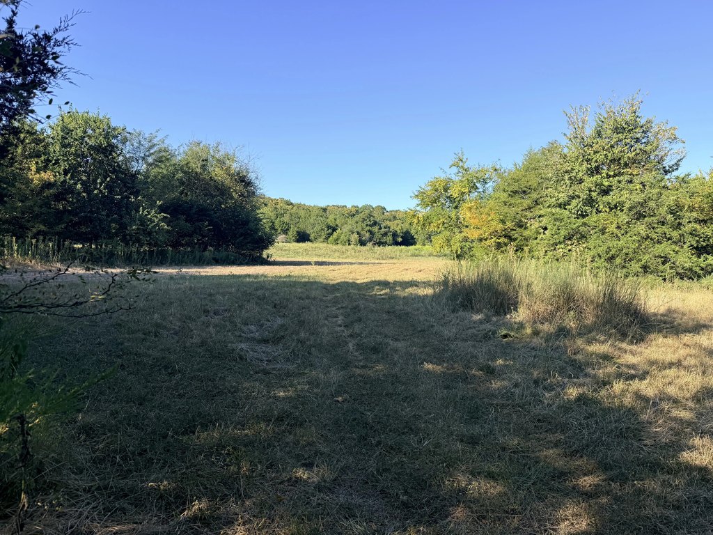 Picture 19