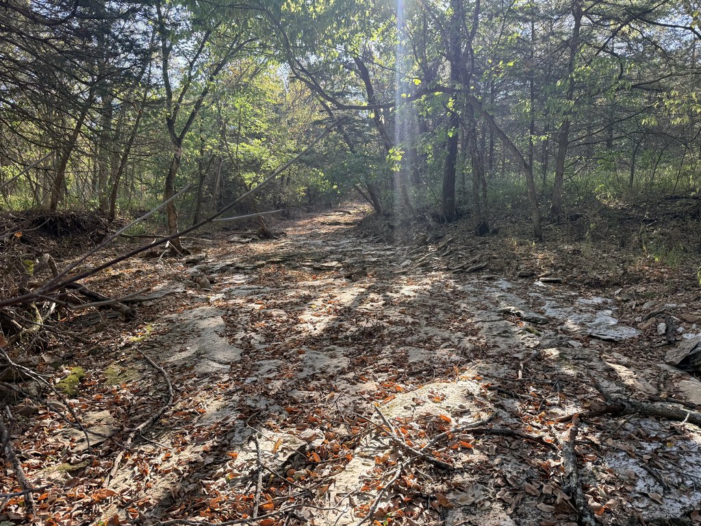 Picture 23