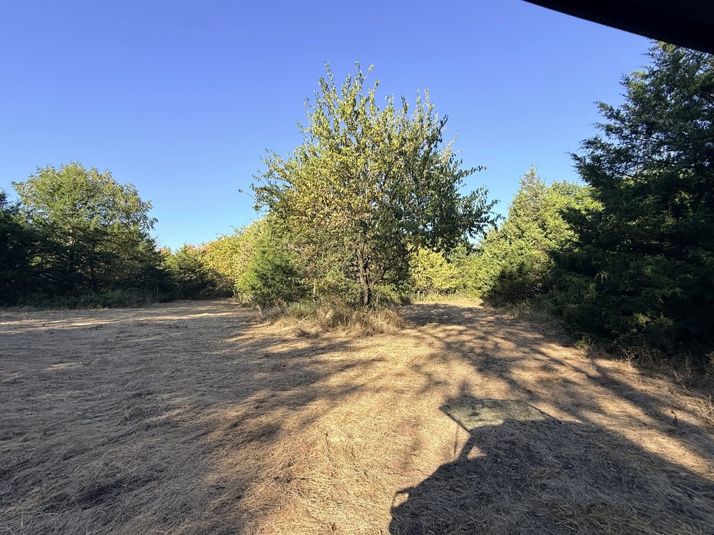 Picture 20