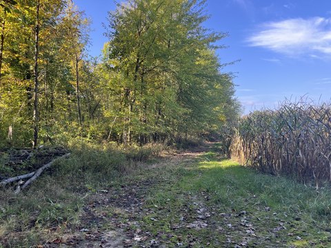 18-Acre Land Near Downtown Lawrence