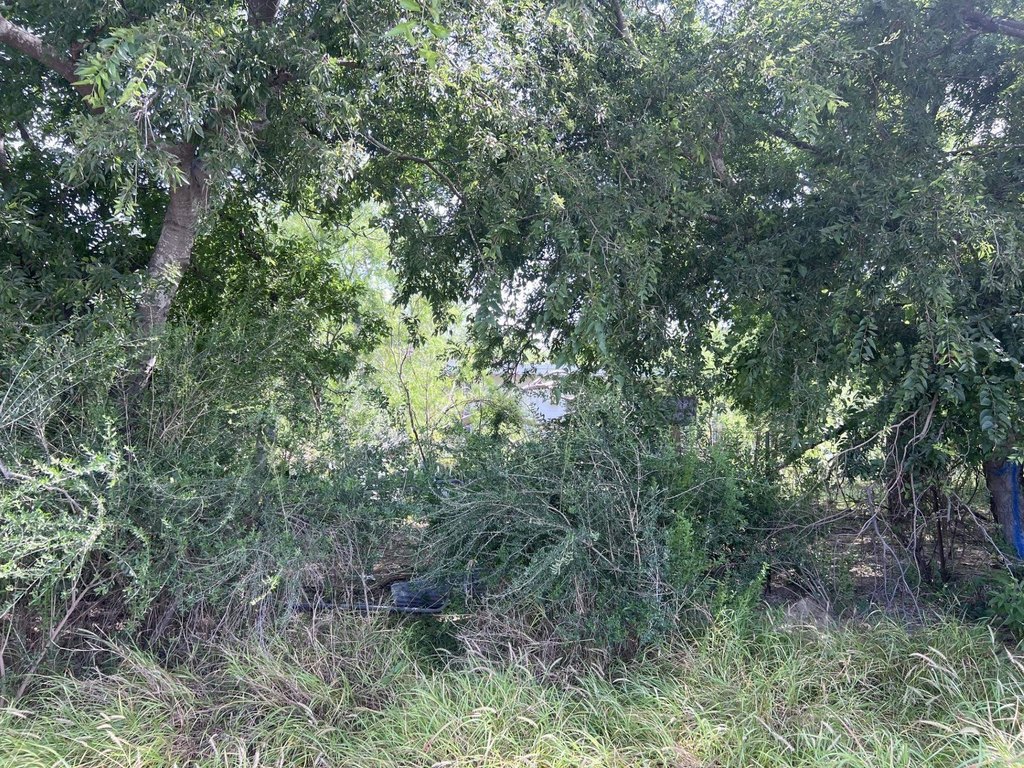 Picture 6