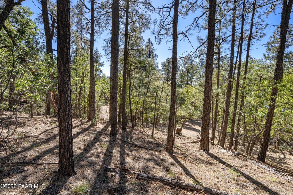 Picture 14