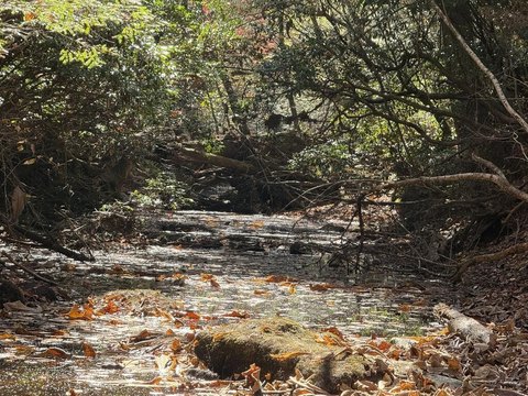 Land, Crossville, TN