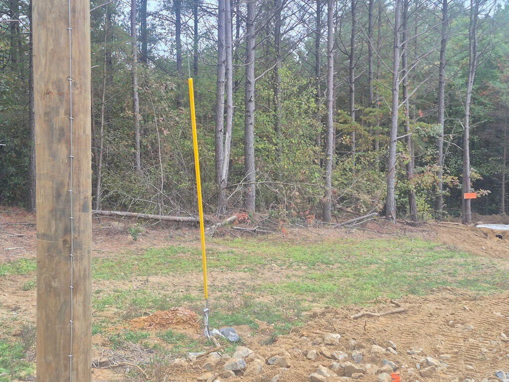 Picture 8