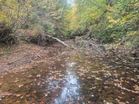 Land, Crossville, TN